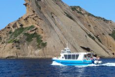 Les activités incontournables lors d’une visite des calanques à Marseille